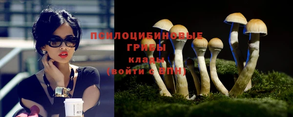 молекула духа Наволоки