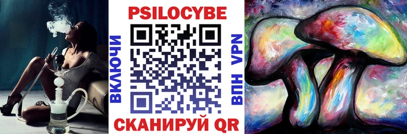 Псилоцибиновые грибы прущие грибы Тайга